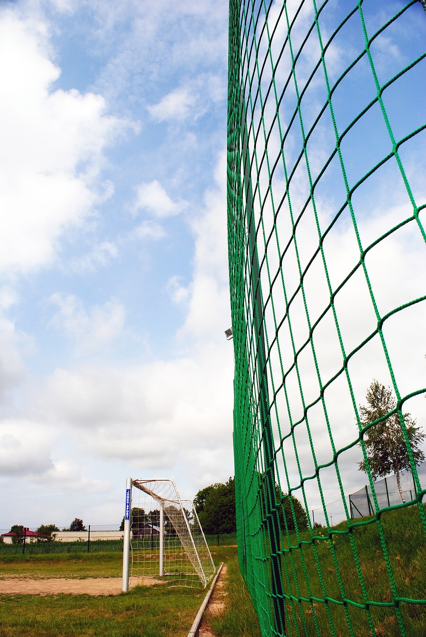 续保持乒乓 续保持乒乓