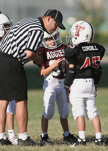 也再次印证 也再次印证