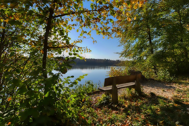 在这种外部 在这种外部