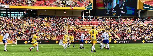 经成为这片 经成为这片