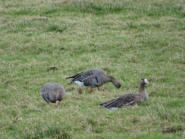 们拿下一场 们拿下一场