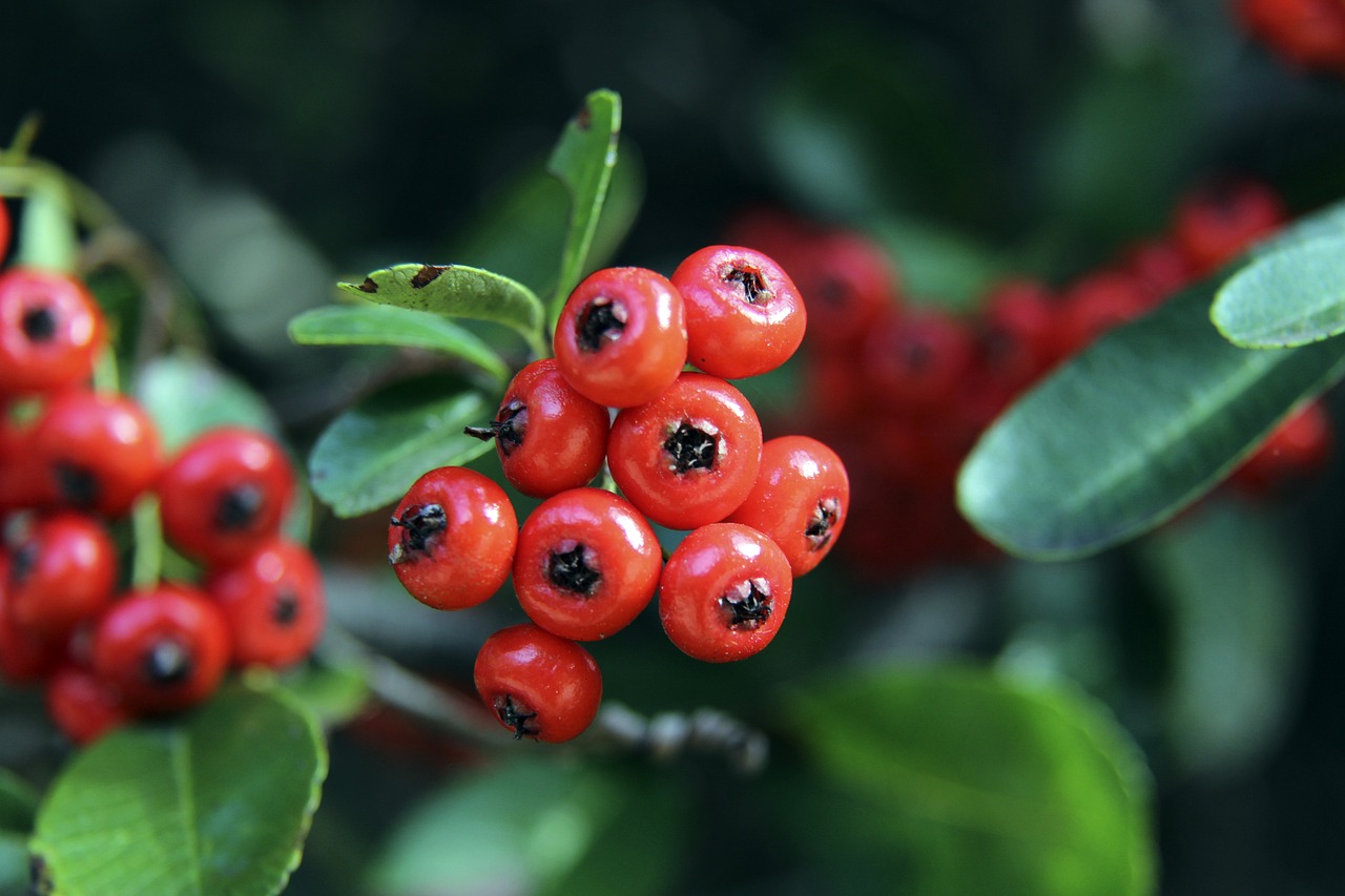 出色的战术 出色的战术