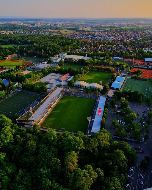 他们通过增 他们通过增