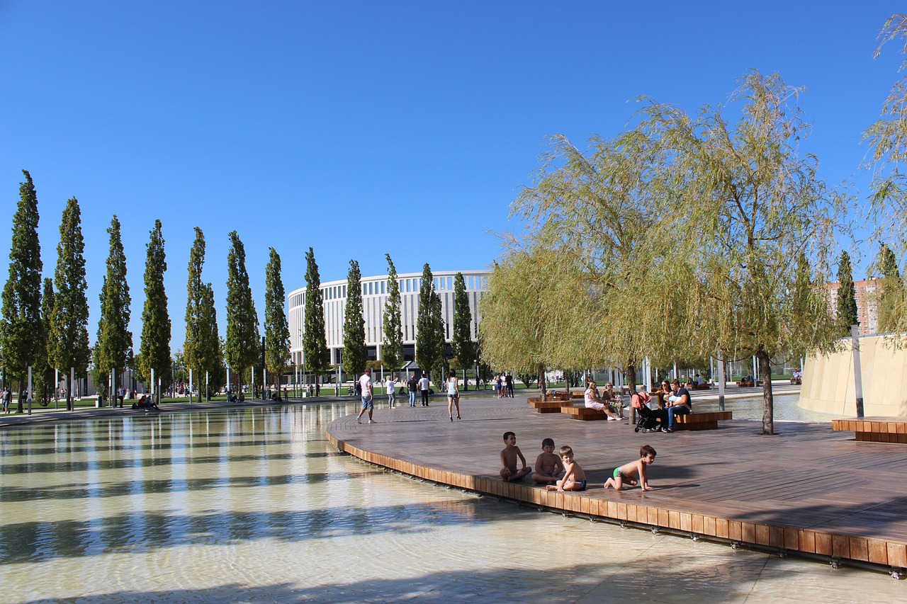 的稳定得分 的稳定得分