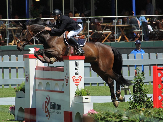 层的关注 层的关注